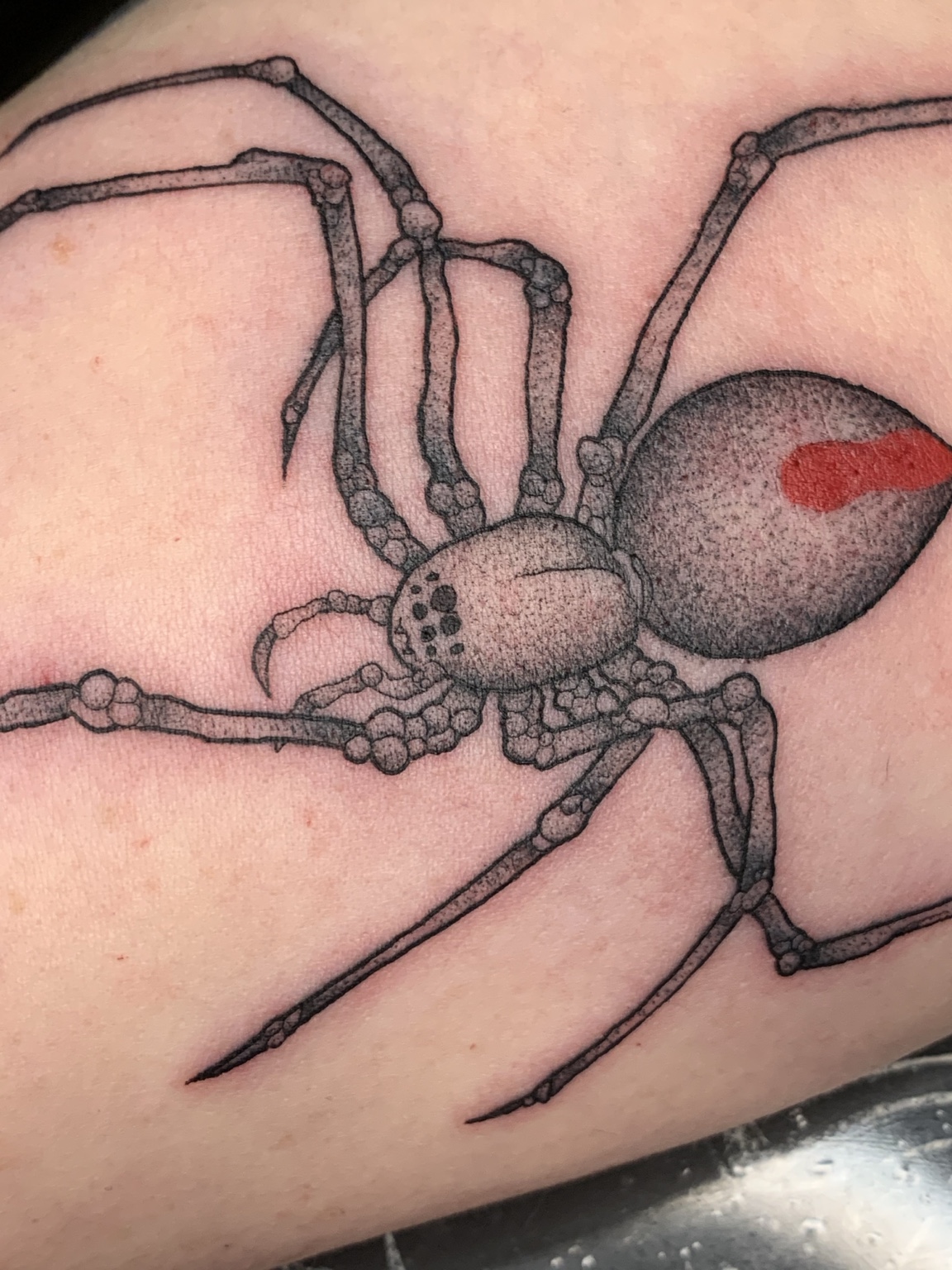 Tatuaggio di un ragno con un piccolo accento rosso